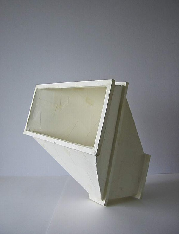 p53c